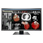 EIZO MX-317W
