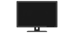 R241M