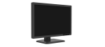 R241M - Image 2