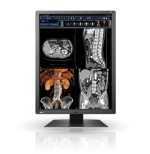 EIZO RX-250